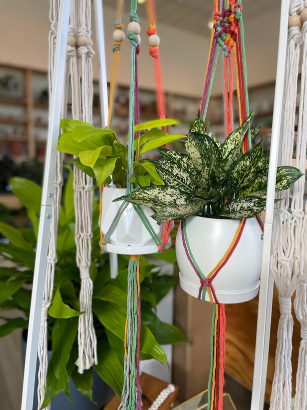 Macramé Class