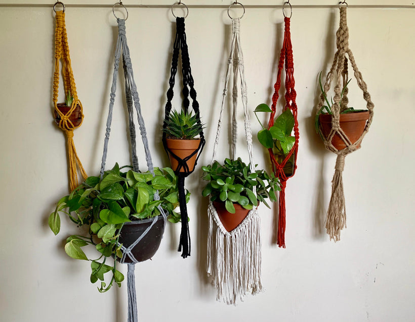 Plant Hangers