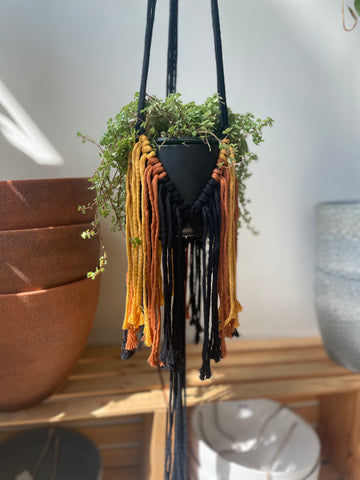 Fringe Macramé Plant Hanger Workshop @ Planted
