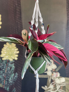 Glass Bead-Making & Macramé Plant Hanger Workshop