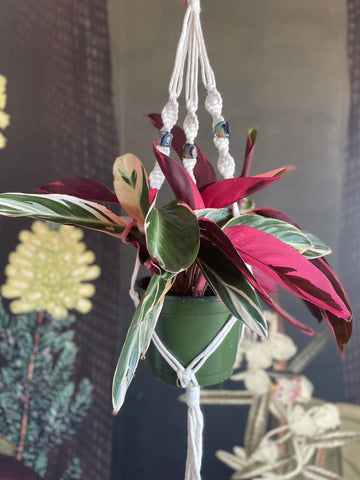 Glass Bead-Making & Macramé Plant Hanger Workshop