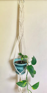 Arrows Plant Hanger