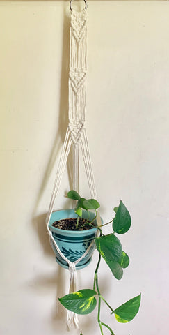 Arrows Plant Hanger