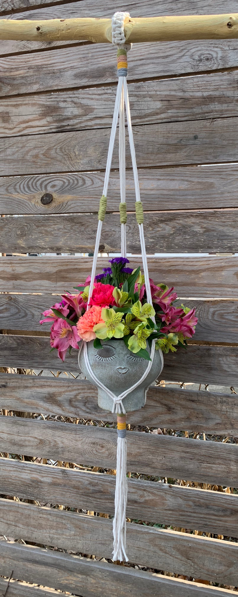 Petunia Plant Hanger
