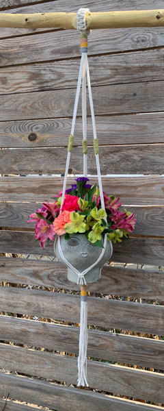 Petunia Plant Hanger