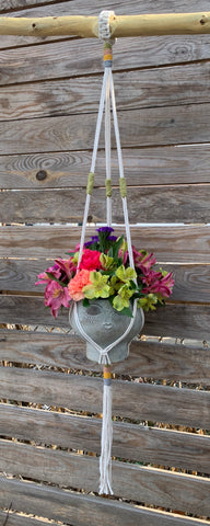 Petunia Plant Hanger