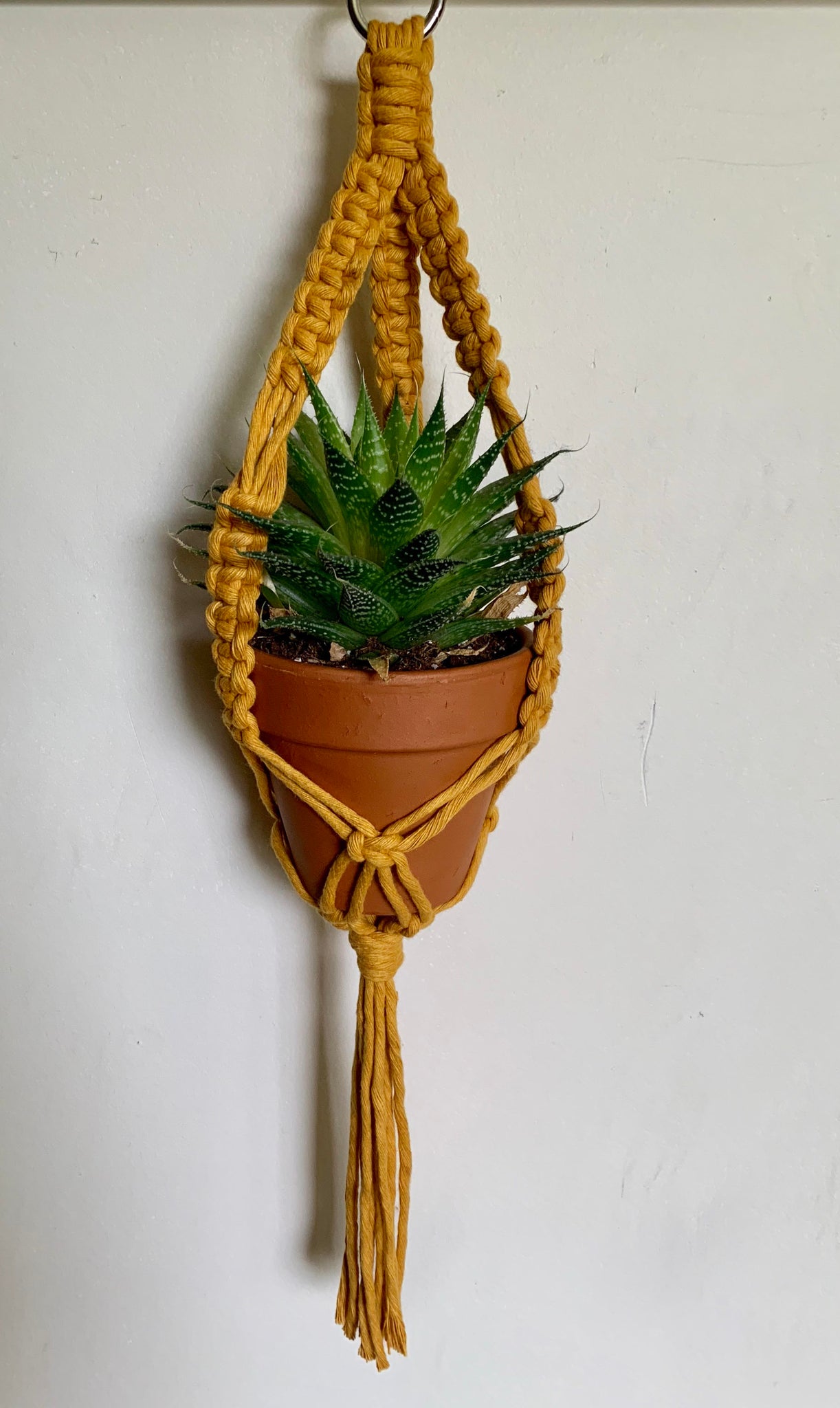 Mini Plant Hanger