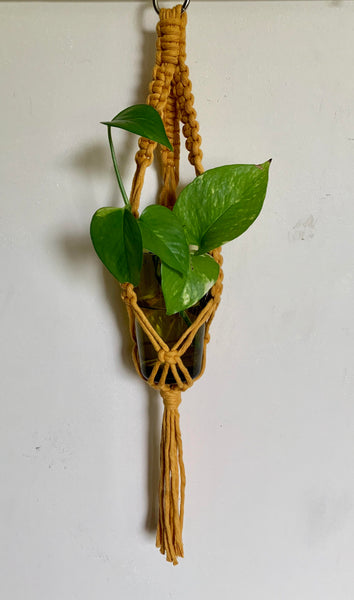 Mini Plant Hanger