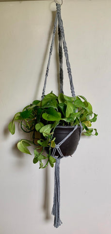 Large Plant Hanger