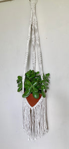 Plant Hanger With Fringe