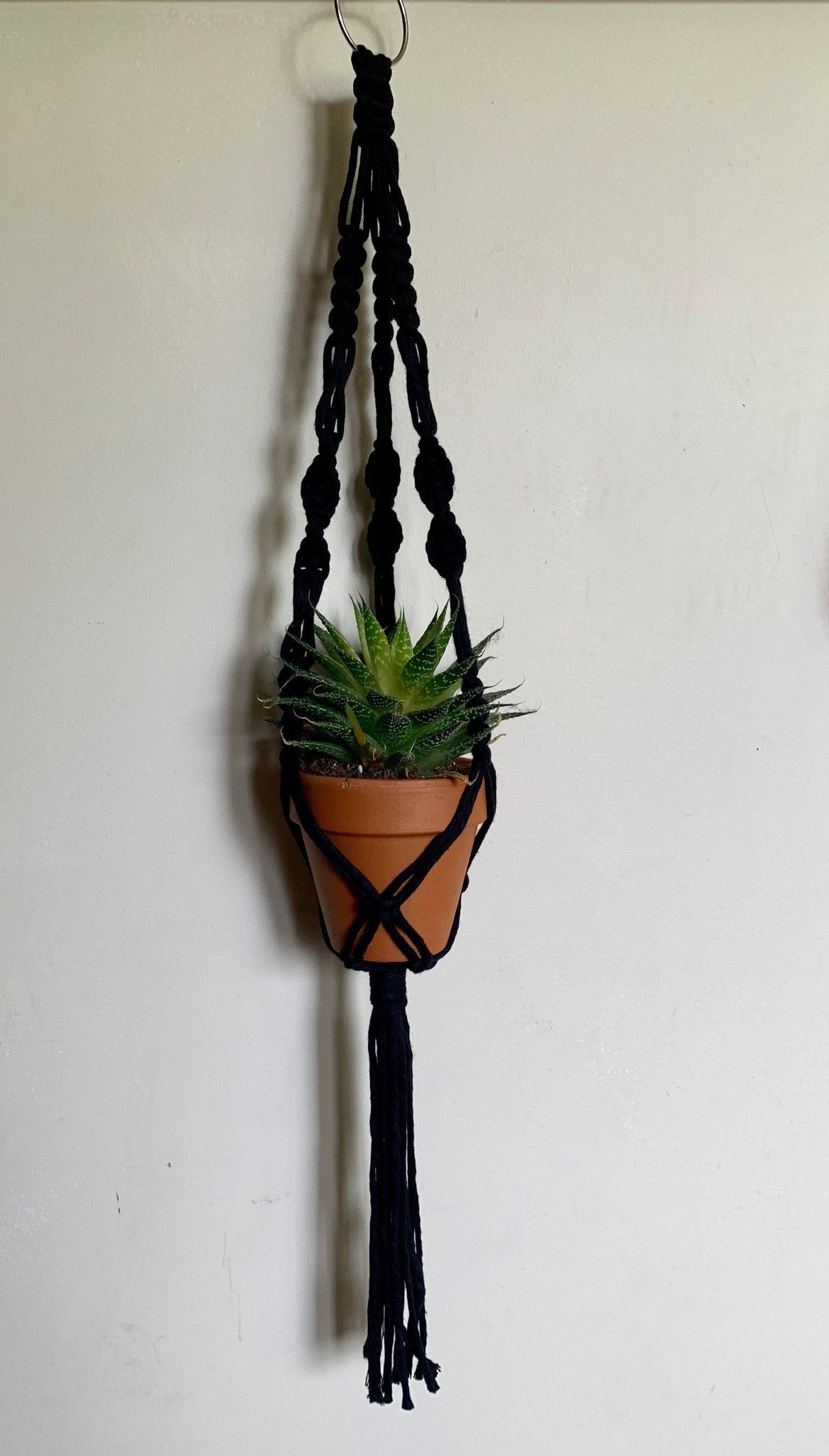 Small Macrame Plant Hanger
